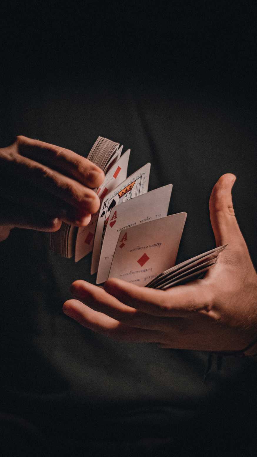 evolve casino evolve casino